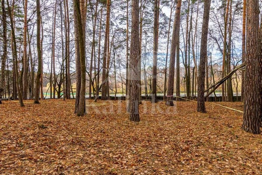 Участок 38 сот. — Серебряный Бор, фотография 5