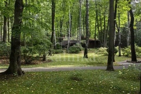 Участок 182 сот. — Серебряный Бор, фотография 2