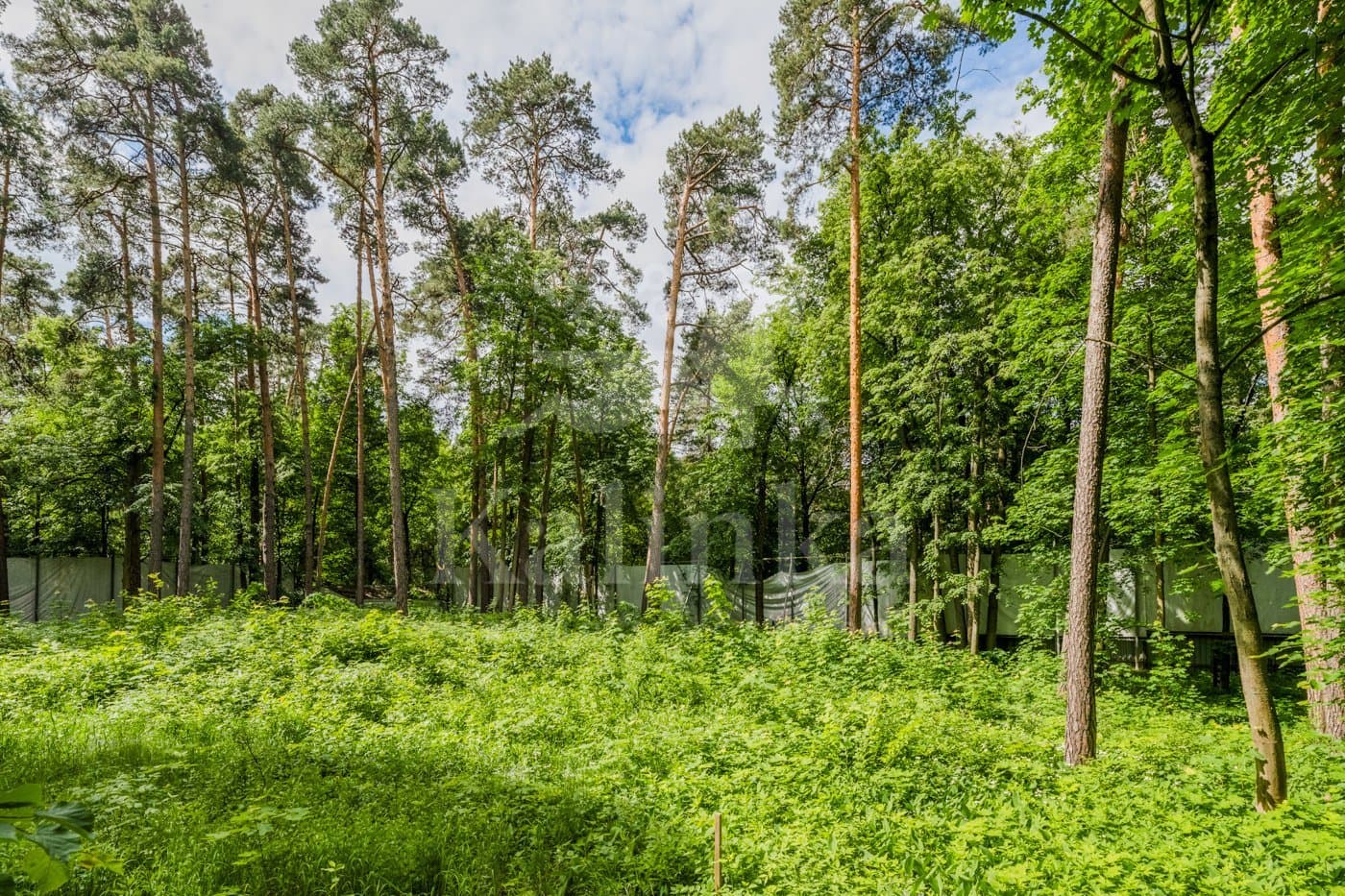 Участок 114 сот. — Серебряный Бор, фотография 3